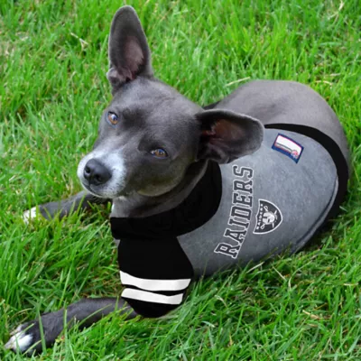 Product Pets First Las Vegas Raiders NFL Hoodie Tee