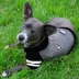 Pets First Las Vegas Raiders NFL Hoodie Tee image thumbnail 2