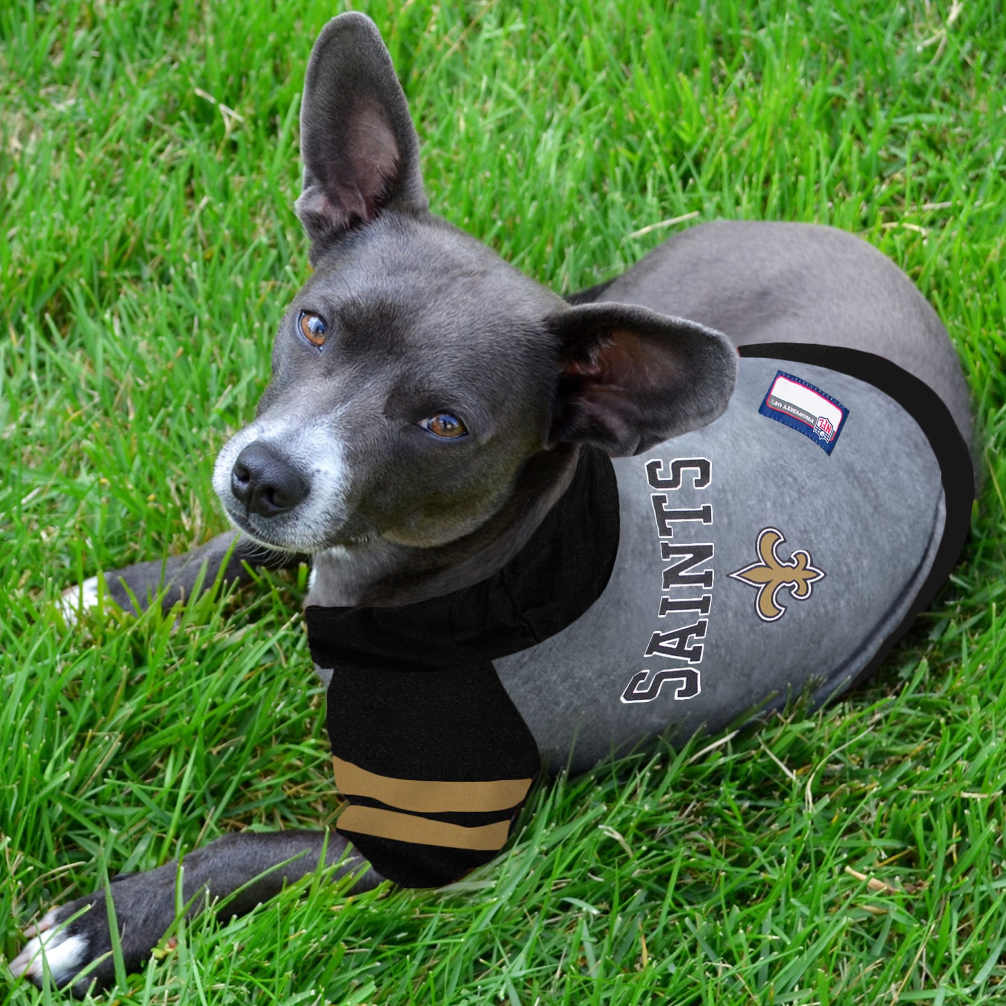 Pets First New Orleans Saints NFL Hoodie Tee PetSmart in Tustin CA The Market Place