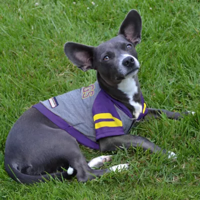 Minnesota Vikings NFL Hoodie Tee - Image 3
