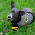 Green Bay Packers NFL Hoodie Tee image thumbnail 2