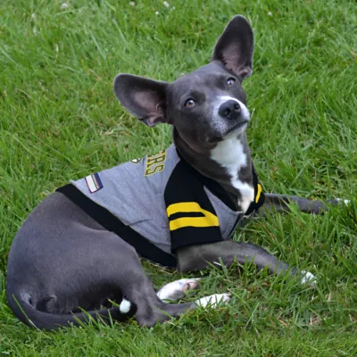 Green Bay Packers NFL Hoodie Tee - Image 3
