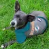 Miami Dolphins NFL Hoodie Tee image thumbnail 2