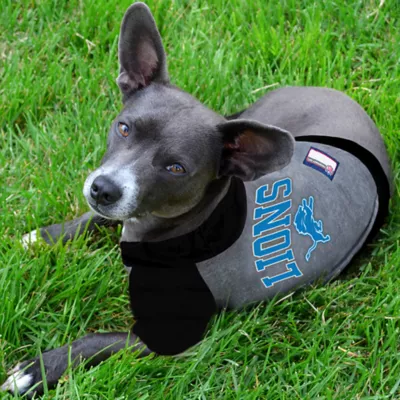 Detroit Lions NFL Hoodie Tee - Image 2