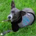 Detroit Lions NFL Hoodie Tee image thumbnail 2