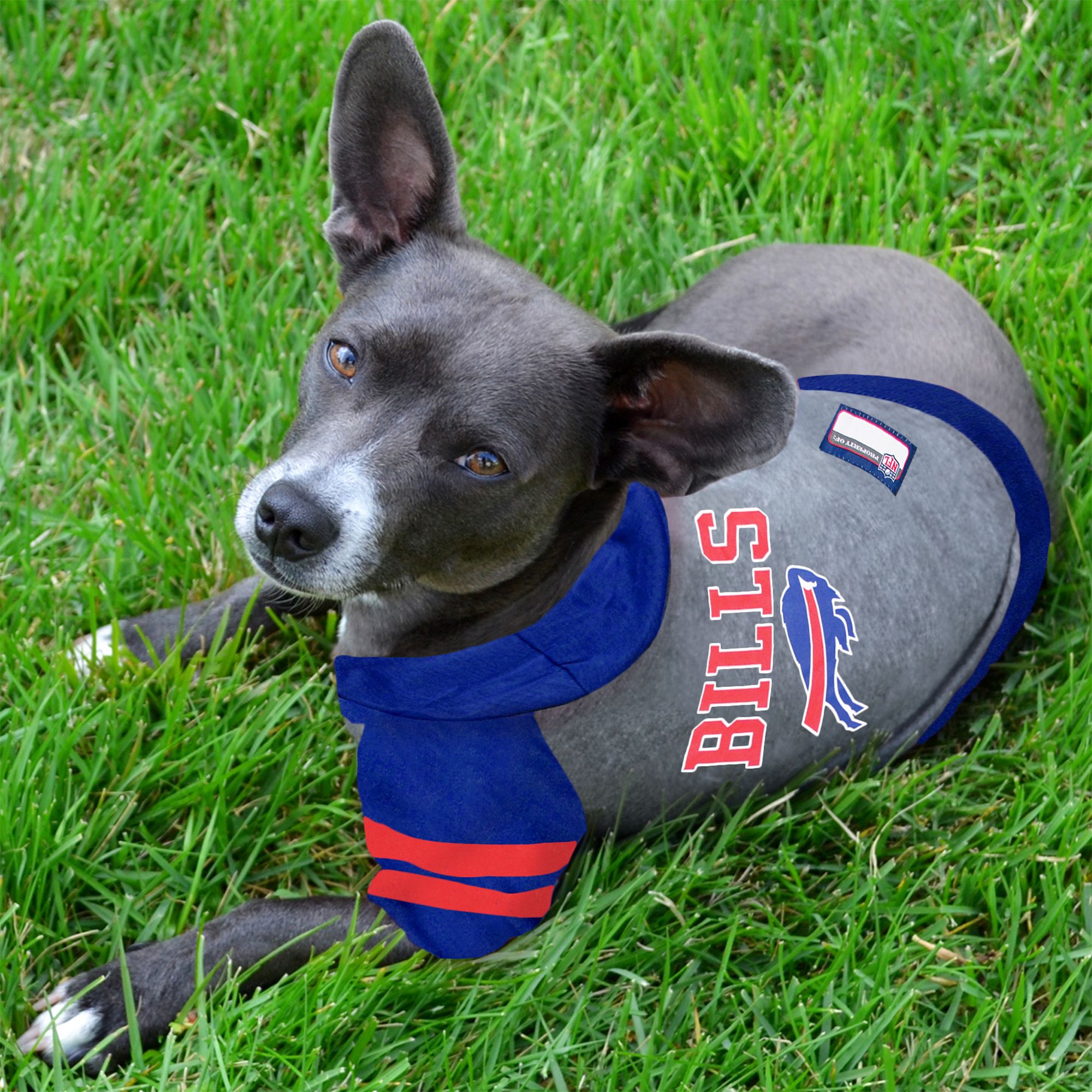 Pets First Buffalo Bills NFL Hoodie Tee PetSmart in Tustin CA