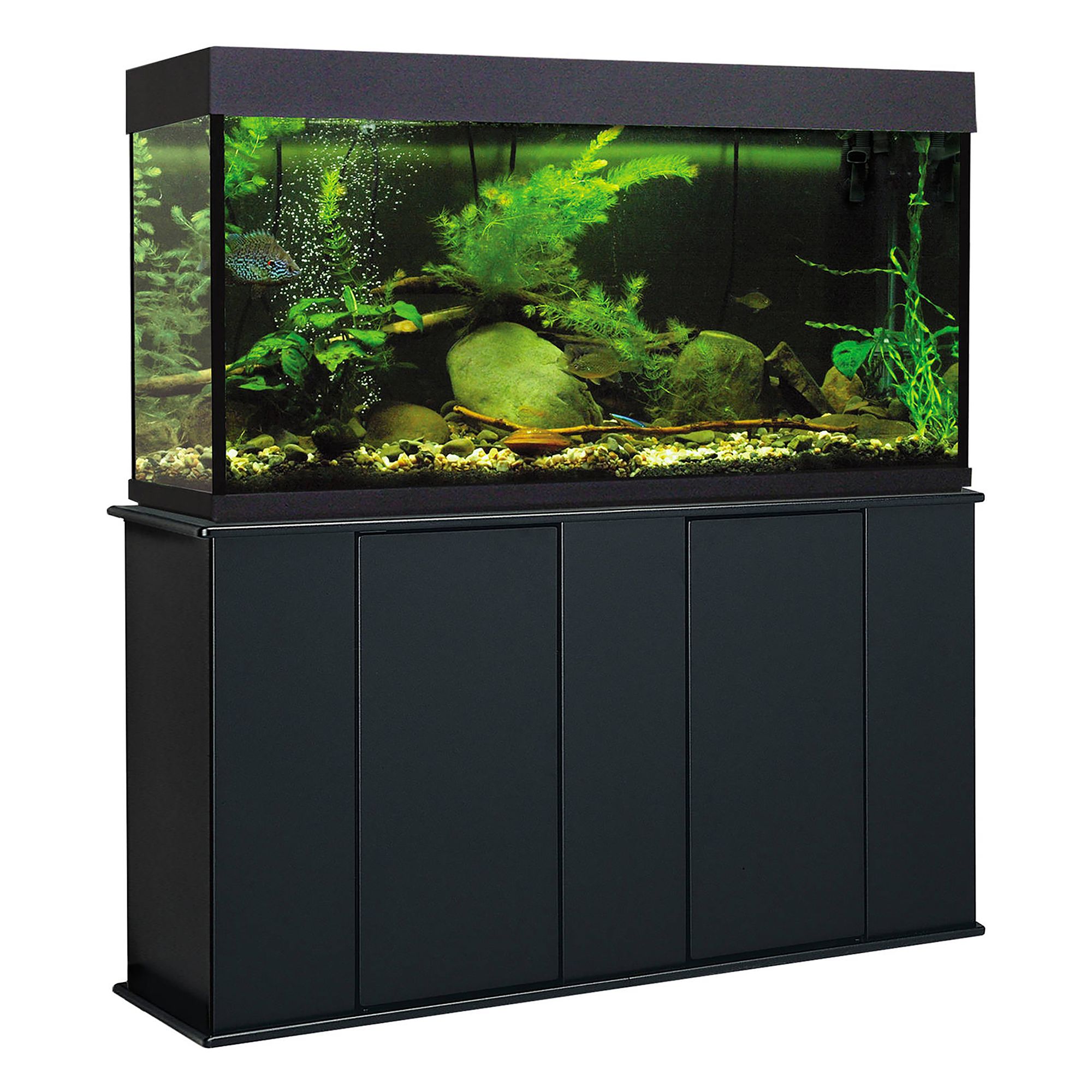 55 gallon deals fish tank petsmart