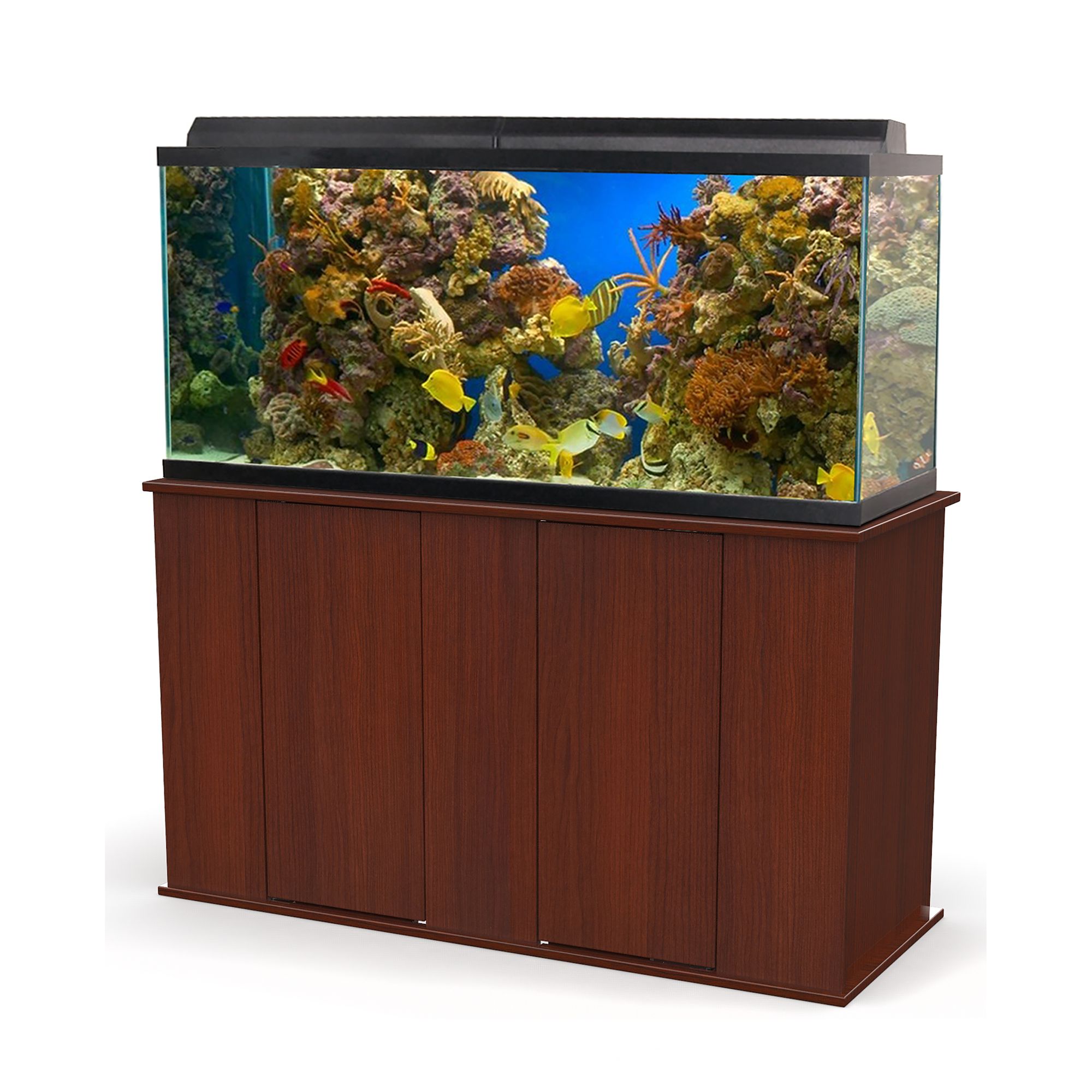 best fish for 90 gallon freshwater tank