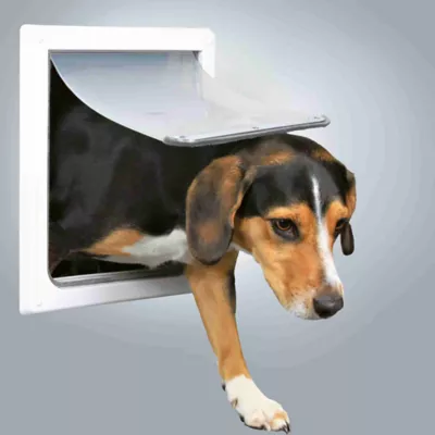 Product TRIXIE 2-Way Dog Door