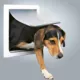 Product TRIXIE 2-Way Dog Door