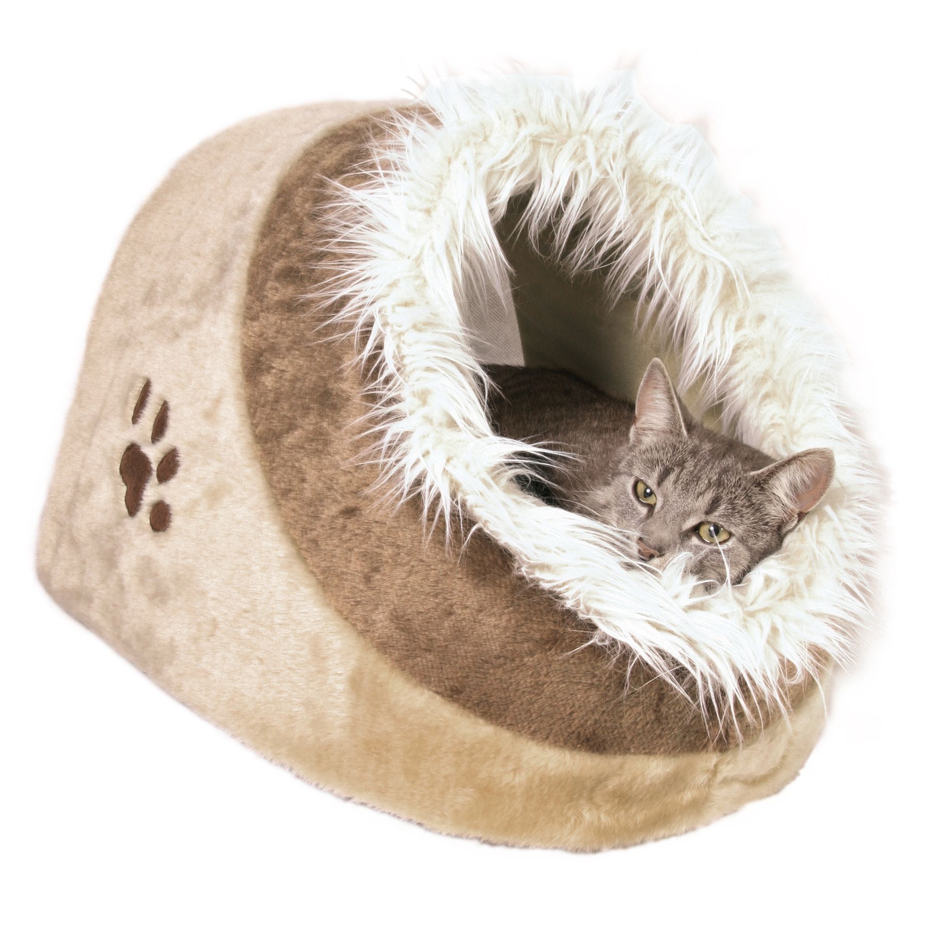 Petsmart 2025 cat igloo