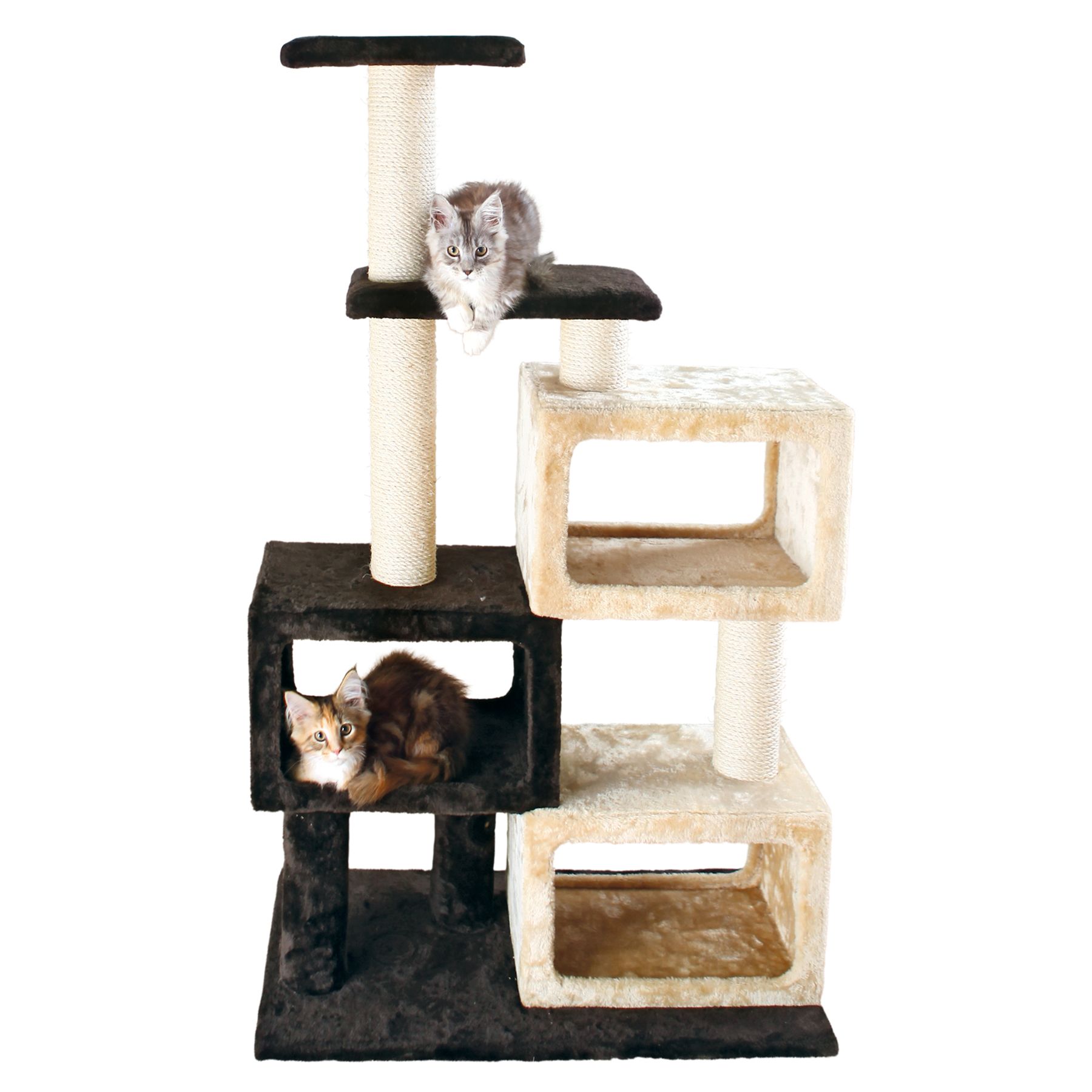 Trixie Bartolo Cat Tree Cat Furniture Towers Petsmart