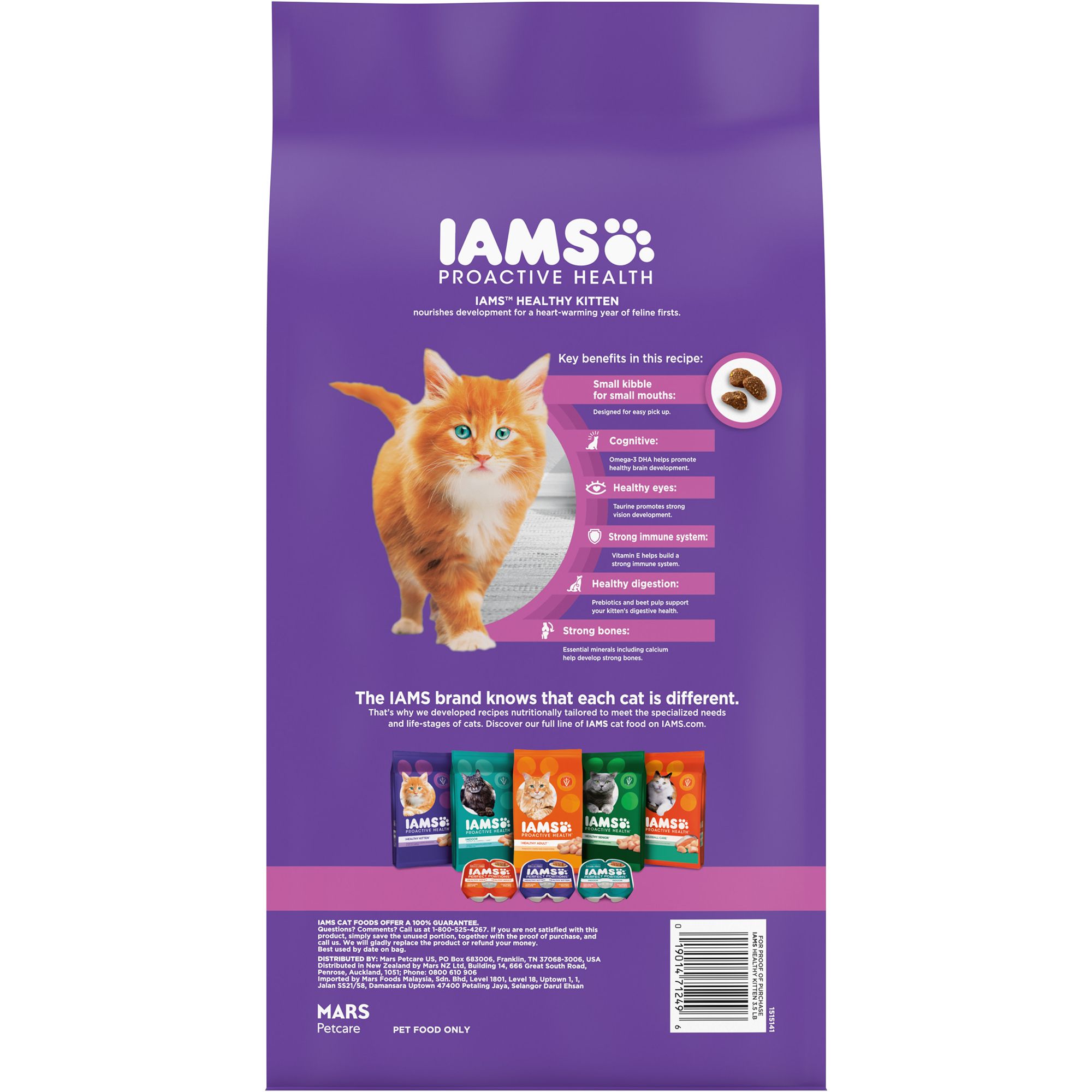 iams kitten food