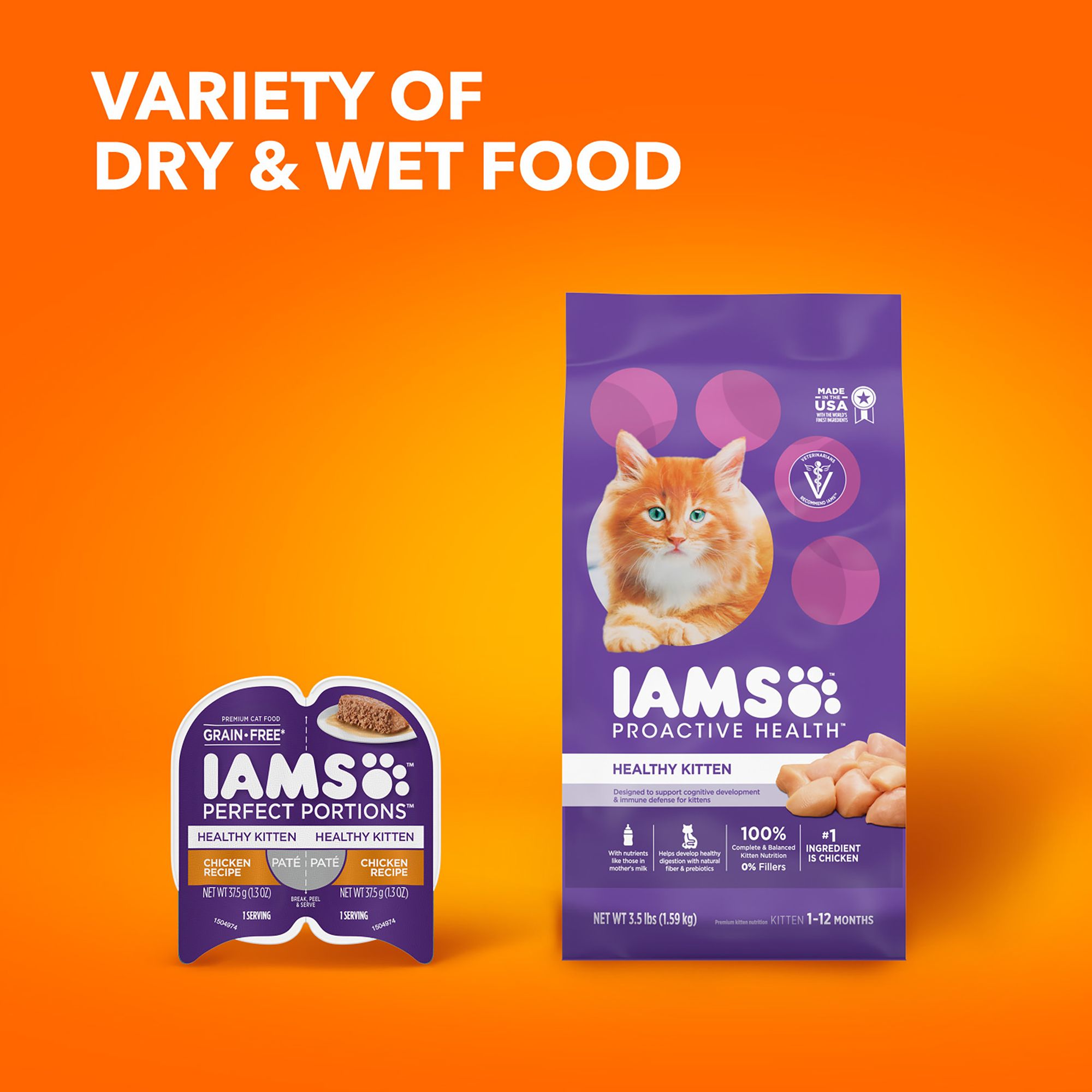 iams proactive health dry kitten food kittens