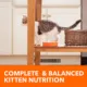 Product IAMS™ Proactive Health Kitten Dry Cat Food - Healthy Development, Chicken