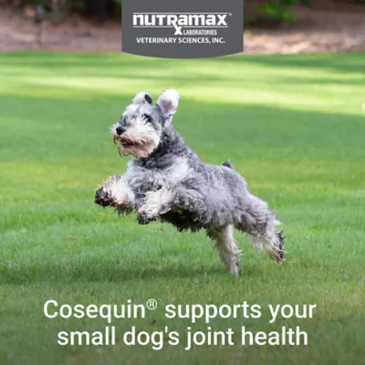 Product Cosequin® Minis Joint Health Supplement