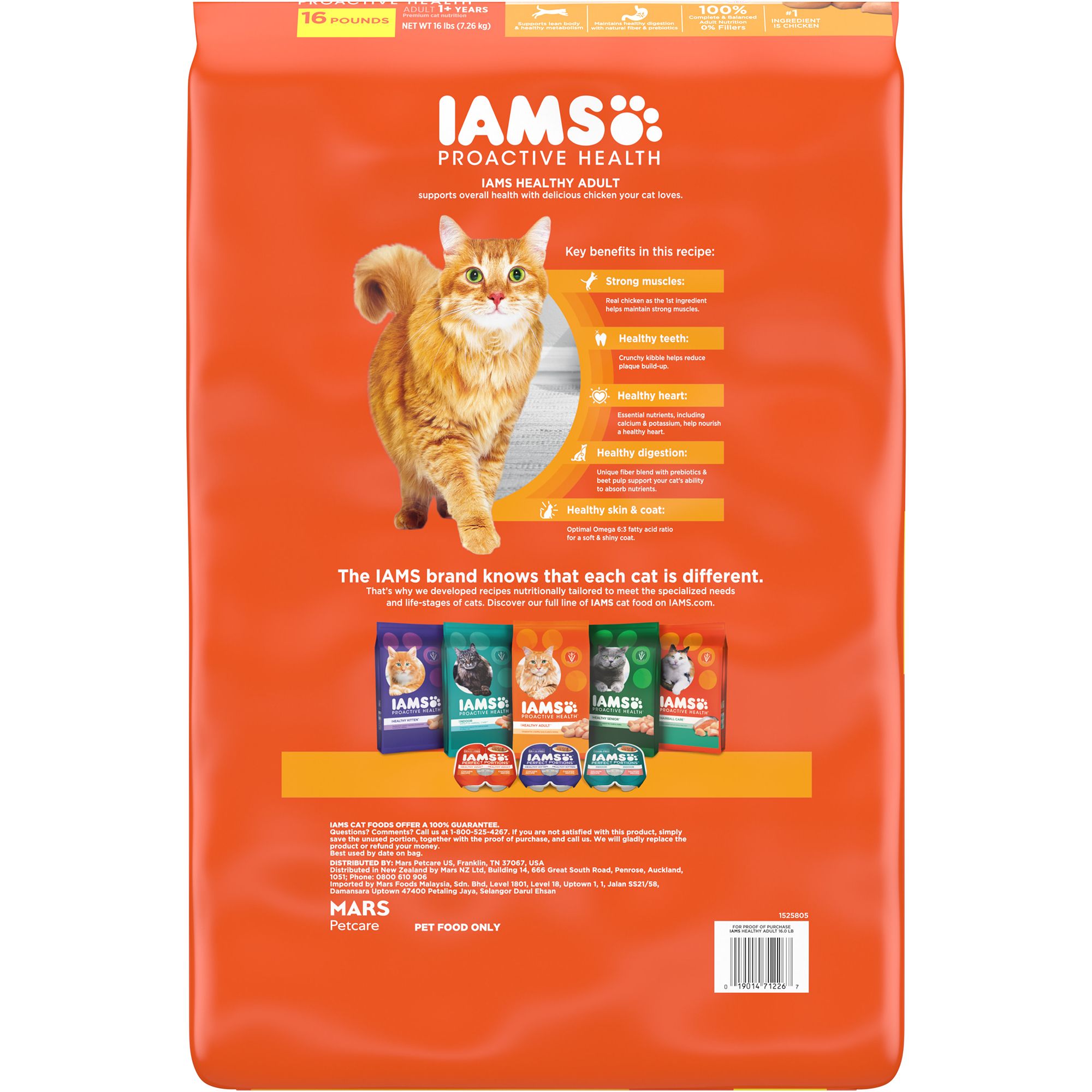 IAMS Proactive Health Indoor Adult Dry Cat Food Healthy Cat PetSmart in Tustin CA