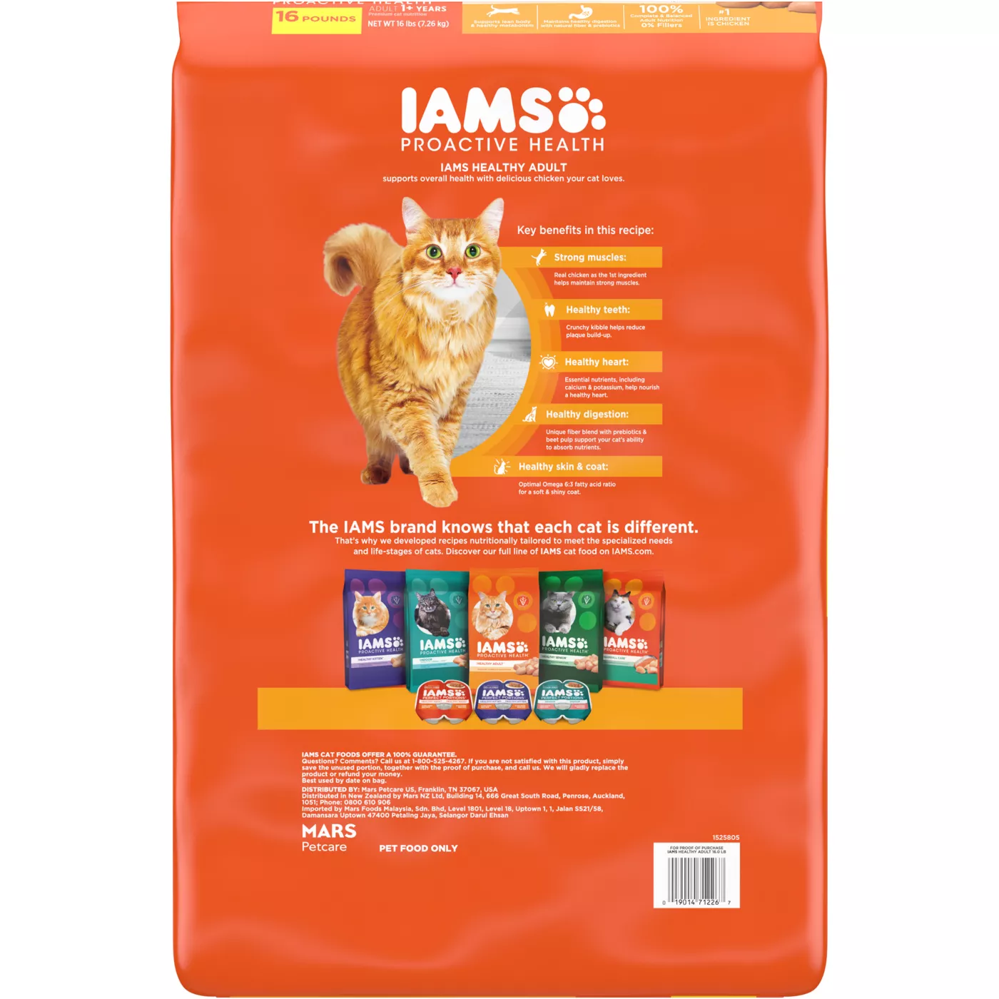 Best iams cat food best sale