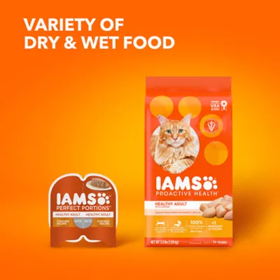 IAMS Proactive Health Indoor Adult Dry Cat Food Healthy Cat Chicken