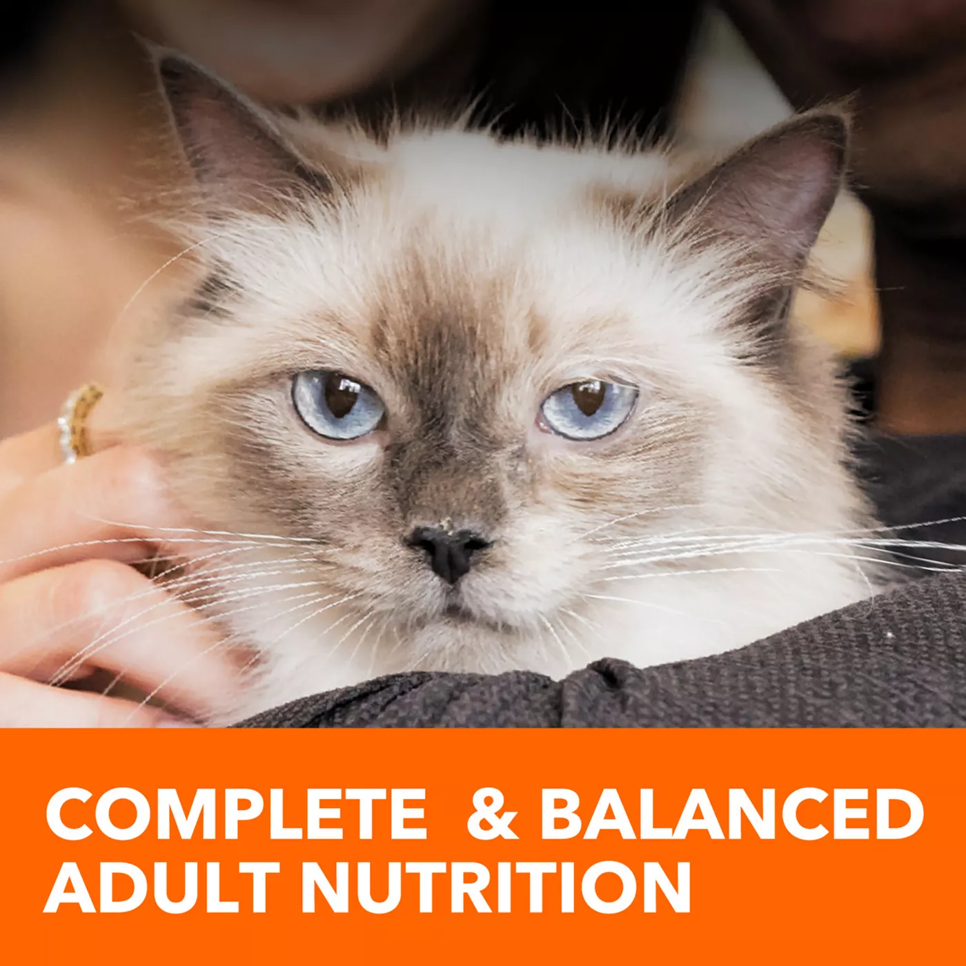 Healthy adult cat food best sale