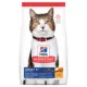 Product Hill's® Science Diet® Adult Senior 7+ Dry Cat Food - Chicken