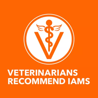 Product IAMS™ Proactive Health Indoor Adult Dry Cat Food - Weight & Hairball Care, Chicken