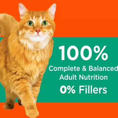 Product Iams® ProActive Health™ Hairball Care Adult Cat Food - Chicken