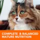 Product IAMS™ Proactive Health Senior Dry Cat Food - Healthy Aging, Chicken