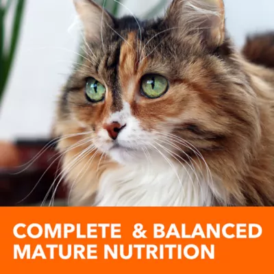 Iams mature cat food best sale