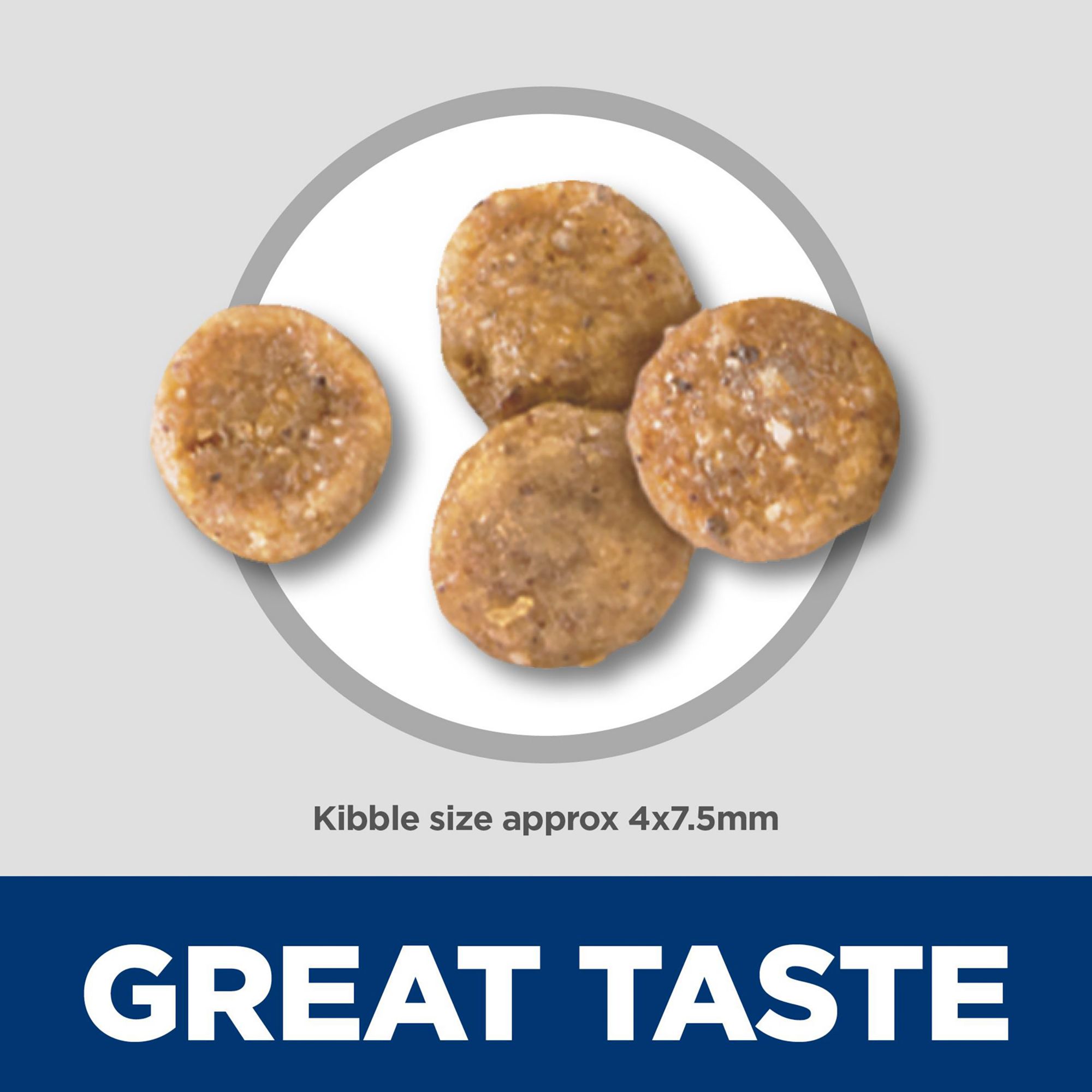 science diet sensitive stomach dry dog food