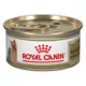 Product Royal Canin Breed Health Nutrition Yorkshire Terrier Adult Dog Wet Food - 3 oz (4 Pack)