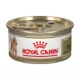 Product Royal Canin(R) Breed Health Nutrition(R) Poodle Breed Specific Adult Dog Wet Food - 3 oz (4 Pack)