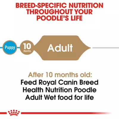 Product Royal Canin(R) Breed Health Nutrition(R) Poodle Breed Specific Adult Dog Wet Food - 3 oz (4 Pack)