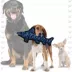 TUFFY® Shark Dog Toy - Tough Plush image thumbnail 3