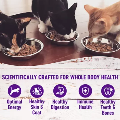 Product Wellness® Healthy Indulgence Morsels Adult Cat Food - Grain Free, Natural, Chicken & Chicken Liver