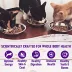 Wellness® Healthy Indulgence Adult Cat Wet Food - Grain Free, Natural, Morsels, 3 Oz image thumbnail 4