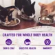 Product Wellness® Healthy Indulgence Morsels Adult Cat Food - Grain Free, Natural, Turkey & Duck