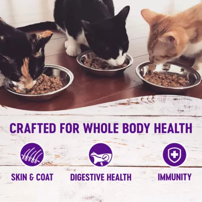 Product Wellness® Healthy Indulgence Morsels Adult Cat Food - Grain Free, Natural, Chicken & Turkey