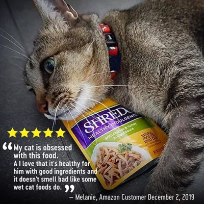 Product Wellness® Healthy Indulgence Shreds Adult Cat Food - Grain Free, Natural, Chicken & Turkey