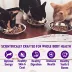 Wellness® Healthy Indulgence Adult Cat Wet Food - Grain Free, Natural, Shreds, 3 Oz image thumbnail 4