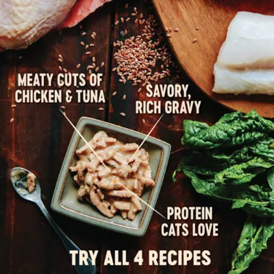 Product Wellness® CORE® Hearty Cuts Adult Cat Food - Grain Free, Chicken & Tuna