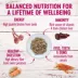 Wellness® Petite Entrees Small All Life Stage Wet Dog Food - Grain Free image thumbnail 3