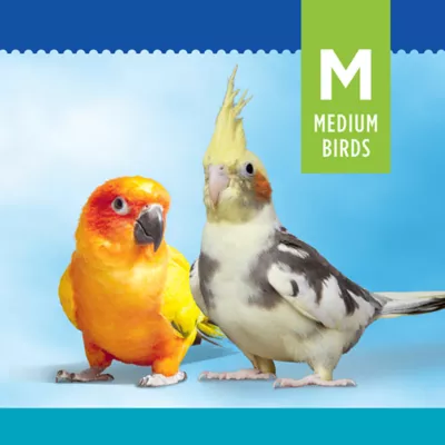 Product All Living Things® Colorful Blocks & Rope Bird Toy
