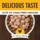 Product Instinct® Healthy Cravings All Life Stages Dog Food Topper - Grain Free, Chicken