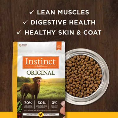 Quality dog food with grain hotsell