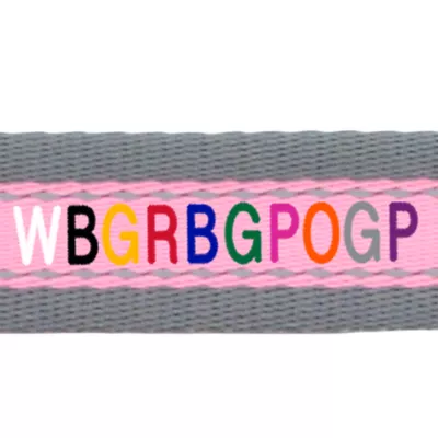 Coastal Pet Products Personalized Pet Attire Pro Reflective Adjustable Dog Collar - Image 2
