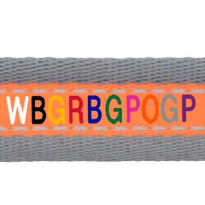 Coastal Pet Products Personalized Pet Attire Pro Reflective Adjustable Dog Collar - Image 2