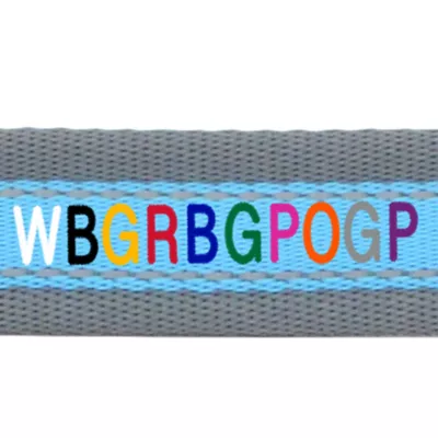 Coastal Pet Products Personalized Pet Attire Pro Reflective Dog Leash: 6-ft long - Image 2