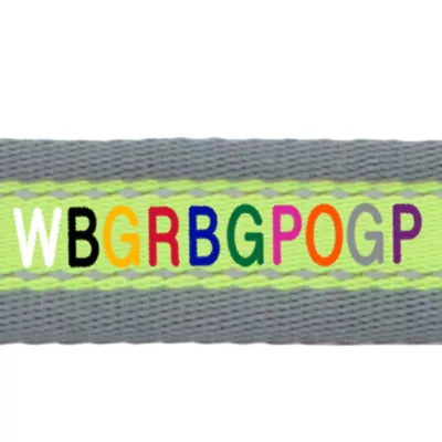 Coastal Pet Products Personalized Pet Attire Pro Reflective Dog Leash: 6-ft long - Image 2