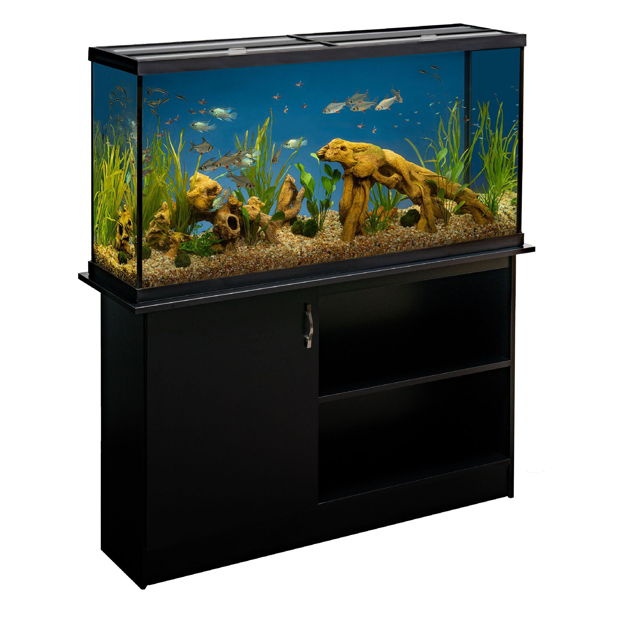 Marineland 60 Gallon Heartland Led Aquarium With Stand Fish Tanks Aquariums Petsmart